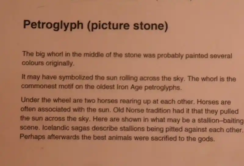 Petroglyph (picture stone)